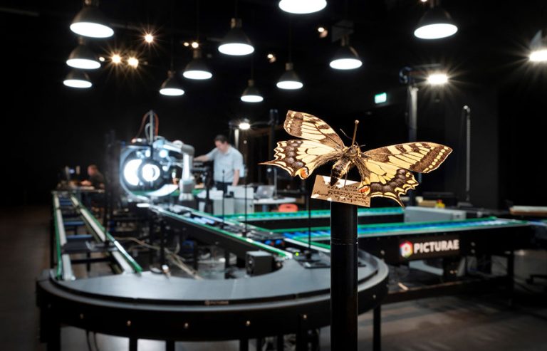 entomology